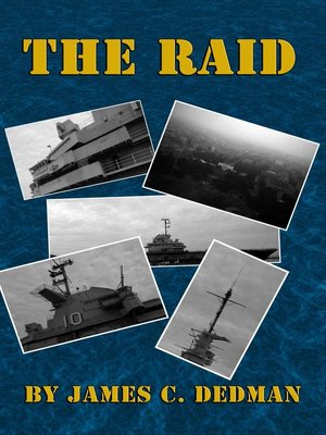 cover image of The Raid